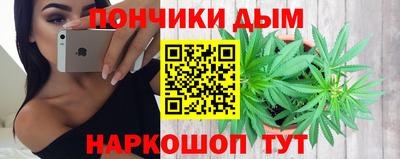 крисы Камышлов