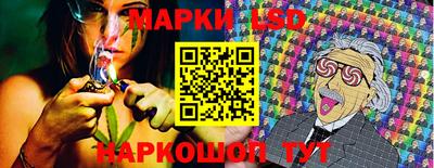 PSILOCYBIN Кандалакша