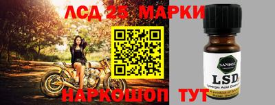 крисы Камышлов