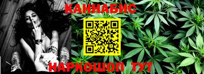 крисы Камышлов