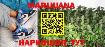 крисы Камышлов