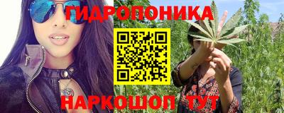 PSILOCYBIN Кандалакша