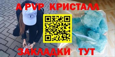 крисы Камышлов